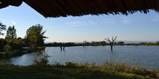 Balta Valea Morii Budila, Braşov